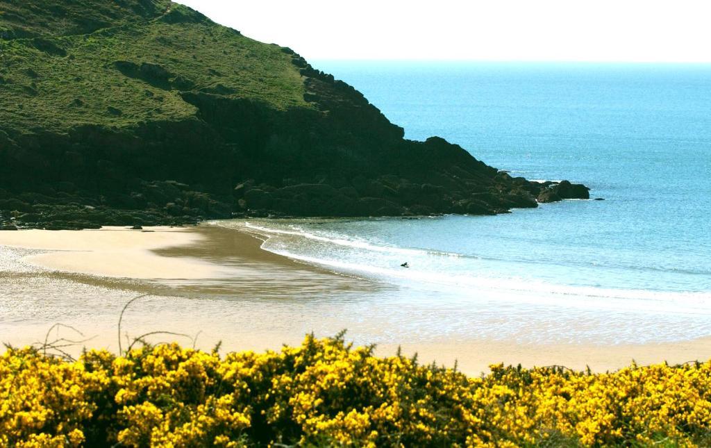 Castlemead Country House By The Sea مانوربير المظهر الخارجي الصورة